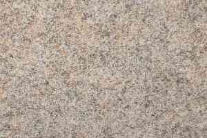 Ковролин Tapisom 900 Beige - 900 419002009 00022 фото  | FLOORDEALER